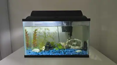 Fish tank, View more