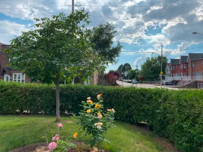 3 bedrooms and 1 bathroom house for rent