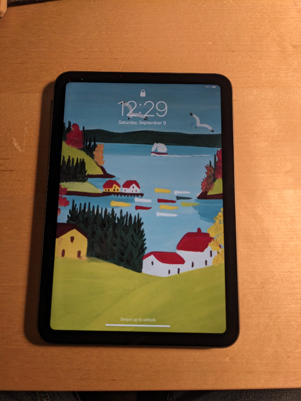 Ipad mini 6th gen 64gb in iPads & Tablets in Thunder Bay