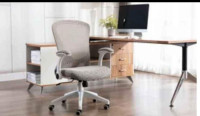 Ergonomic Chair from Wayfair (brand new)