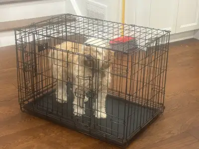 Dog Crate, View more