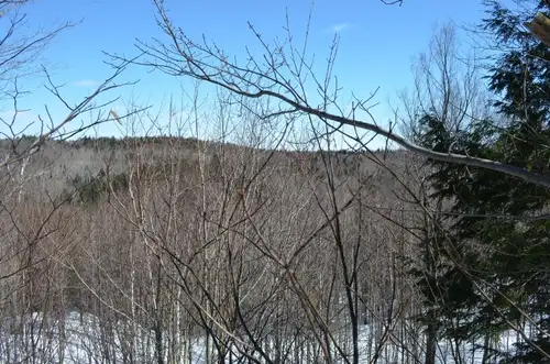 Vous recherchez un terrain en pleine nature, entouré d'arbres mature ? À seulement 1 heure de Montré...