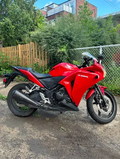 Moto 250cc petite plaque parfaite en ville ou débutant Fonctionne à merveille, je la vend car je n’e...