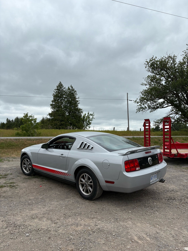 2005 Ford Mustang V6 in Cars & Trucks in Peterborough - Image 3