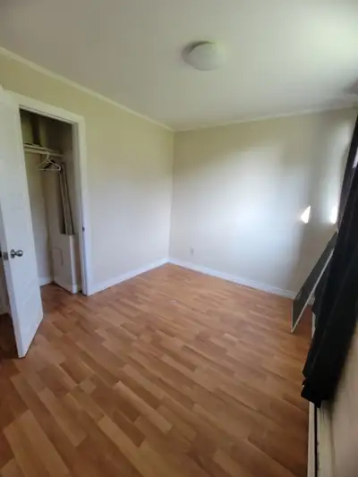 Looking for a female roommate