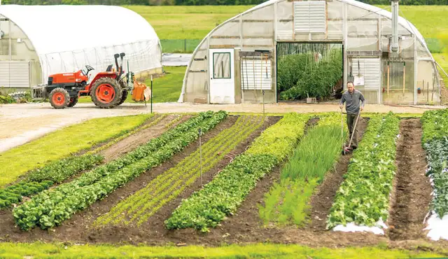 entreprenuer looking to start mini farm
