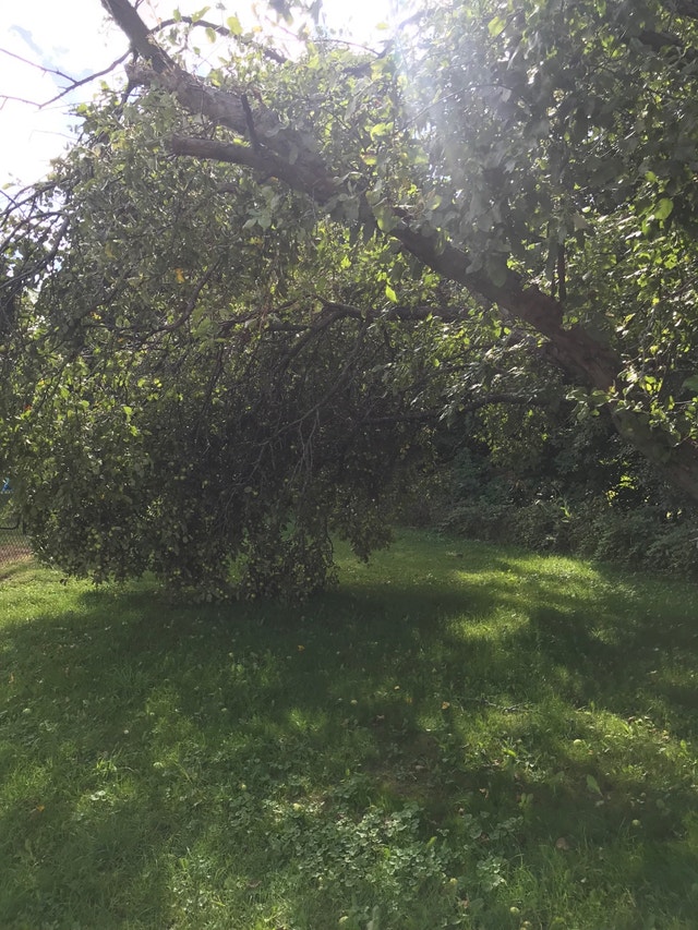 Room for rent Room Rentals & Roommates Kingston Kijiji