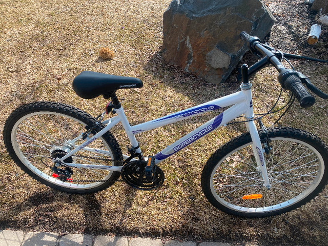 Youth 24 inch Mountain Bike for Sale in Kids in Sudbury - Image 2