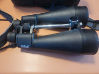 Bushnell 20 x 80