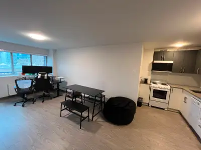 Renovated 3 1/2 in Plateau Mont-Royal  - 1697$ per month