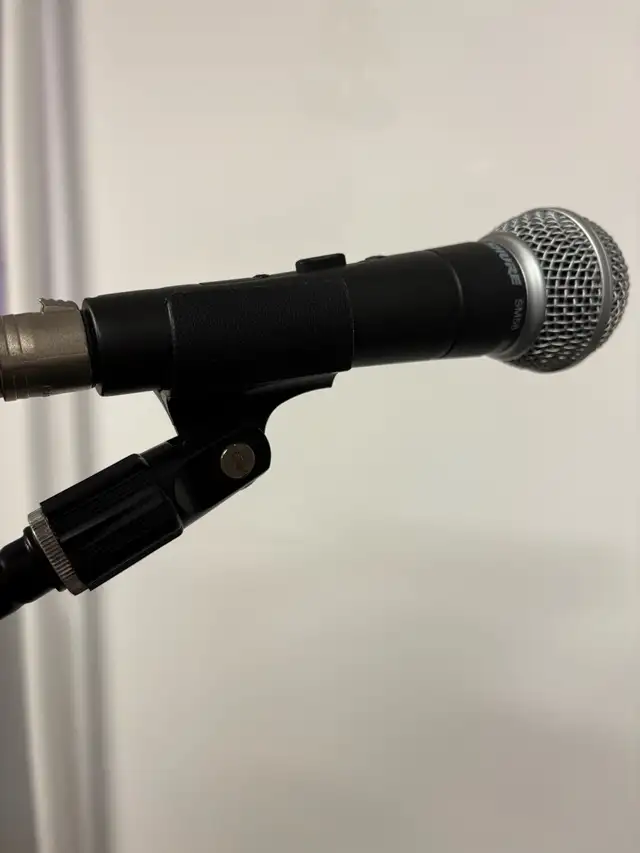 Singers wanted