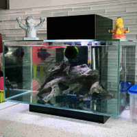 Fluval Edge 6 Gallon Aquarium w/ Accessories 