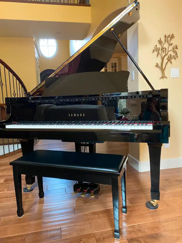 Yamaha C1 Grand Piano (2010)63006660878211125