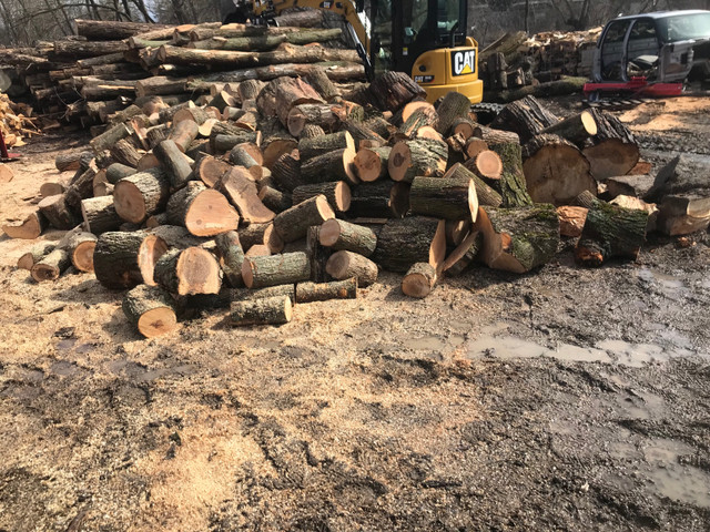 Hardwood Firewood in Other in Peterborough - Image 2