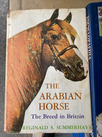 Horse books for sale