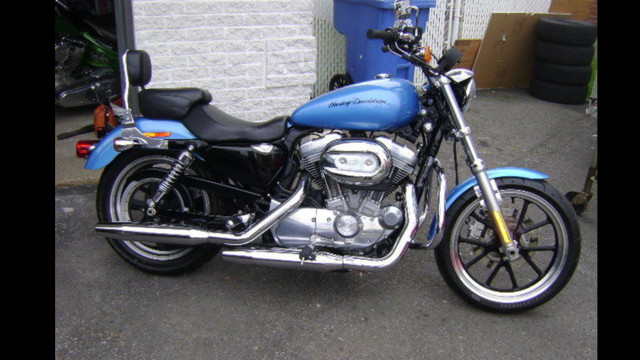 Harley Davidson sportster Superlow 883  dans Utilitaires et de promenade  à Ville de Montréal - Image 4