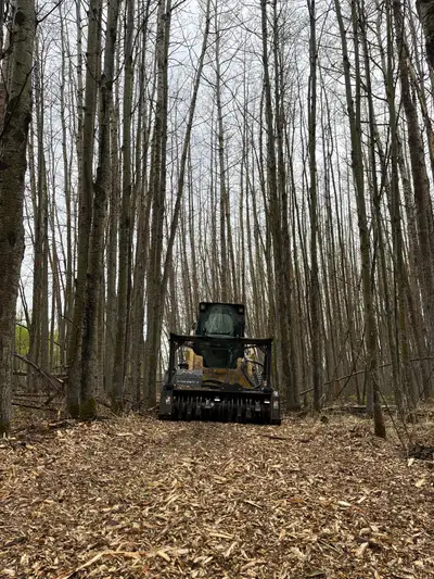 Mulching. Brush Removal.  Land Clearing. Skid Steer Services., View more