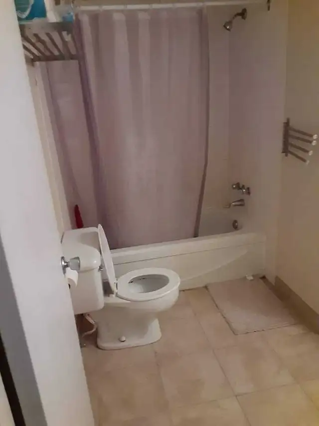 roomate needed 64849906434305124