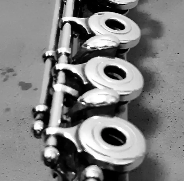 Flute Lessons Online569246278788720642