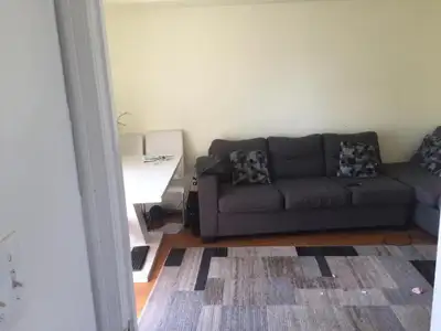 1 Bedroom walkout basement apartment for rent - 1 Bedroom - Separate entrance - walking distance to...