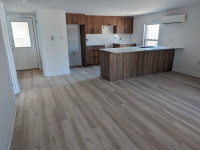 Newly renovated apartment 