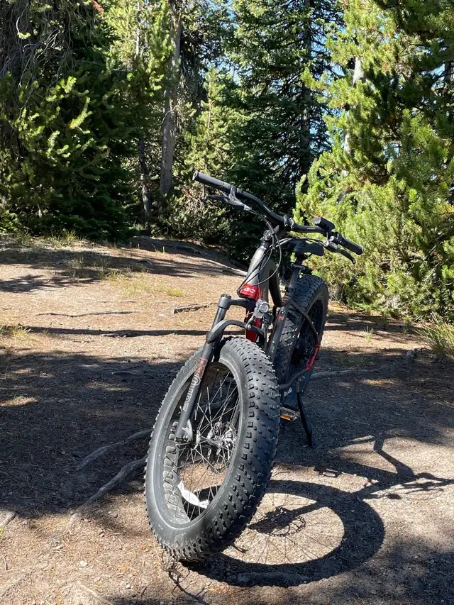 iGO Extreme 3.0 Fat Tire eBike  Low Kms, Charger + Unused Extras in eBike in Calgary - Image 5