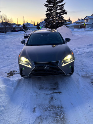 2020 Lexus NX 300h