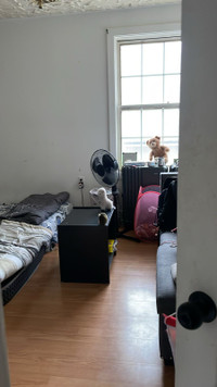 Shared and private rooms for rent at East York.