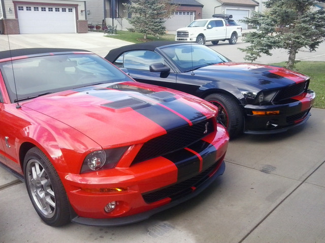2009 Shelby GT500  Conv 600 hp 5000mi ph 587-four 71-6 one 11 in Cars & Trucks in Calgary - Image 2