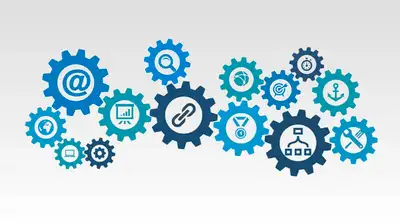 SEO Traffic for Business', View more