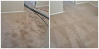 Residential & Commercial Carpet Cleaning Services
