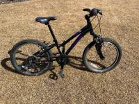 20” Treck bike