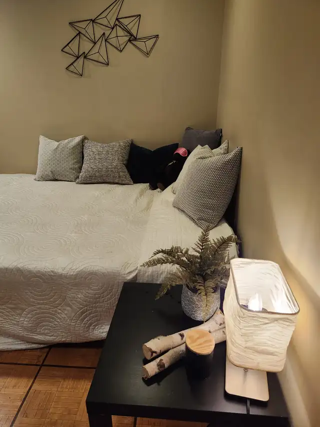 LARGE BASEMENT ROOM FOR RENT IN NORTH YORK in Room Rentals & Roommates in City of Toronto - Image 5