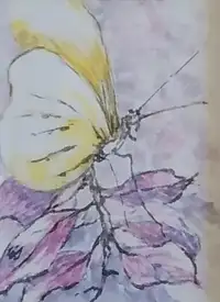 Retired Unknown Artist's original  painting Yellow Butterfly 