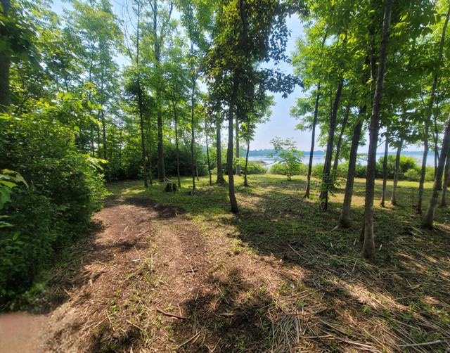 COTTAGE FOR SALE IN WEST NIPISSING Houses for Sale North Bay Kijiji