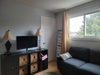 Room for Rent in Newmarket - $1,150