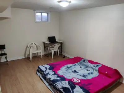 Legal basement separate entrance immediately Sheppard - Markham