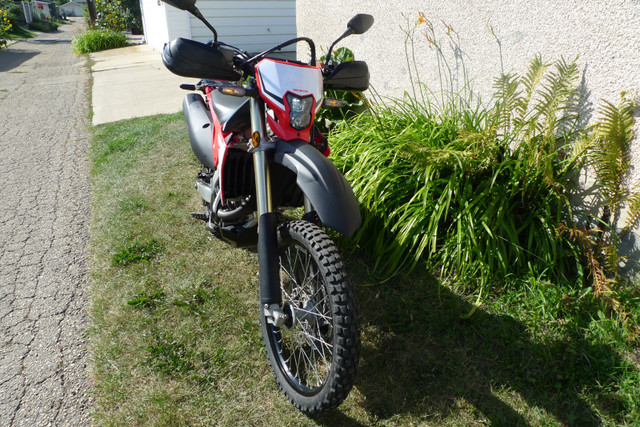 2019 HONDA CRF450L  with under 7,000 km in Dirt Bikes & Motocross in Edmonton - Image 3