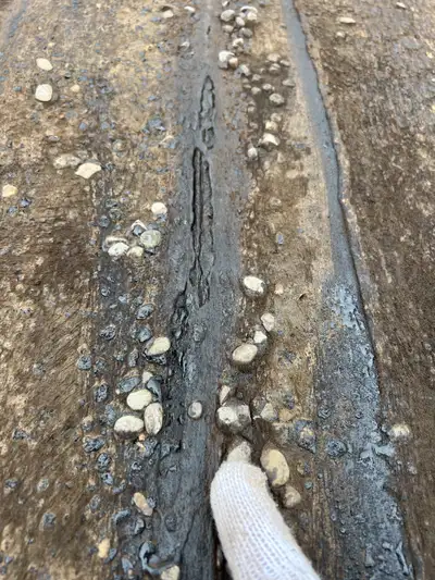 Flat roof Industrial, commercial. Repair. 416-831-1932 Jerry, View more