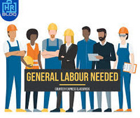 Looking for  GENERAL LABOUR 