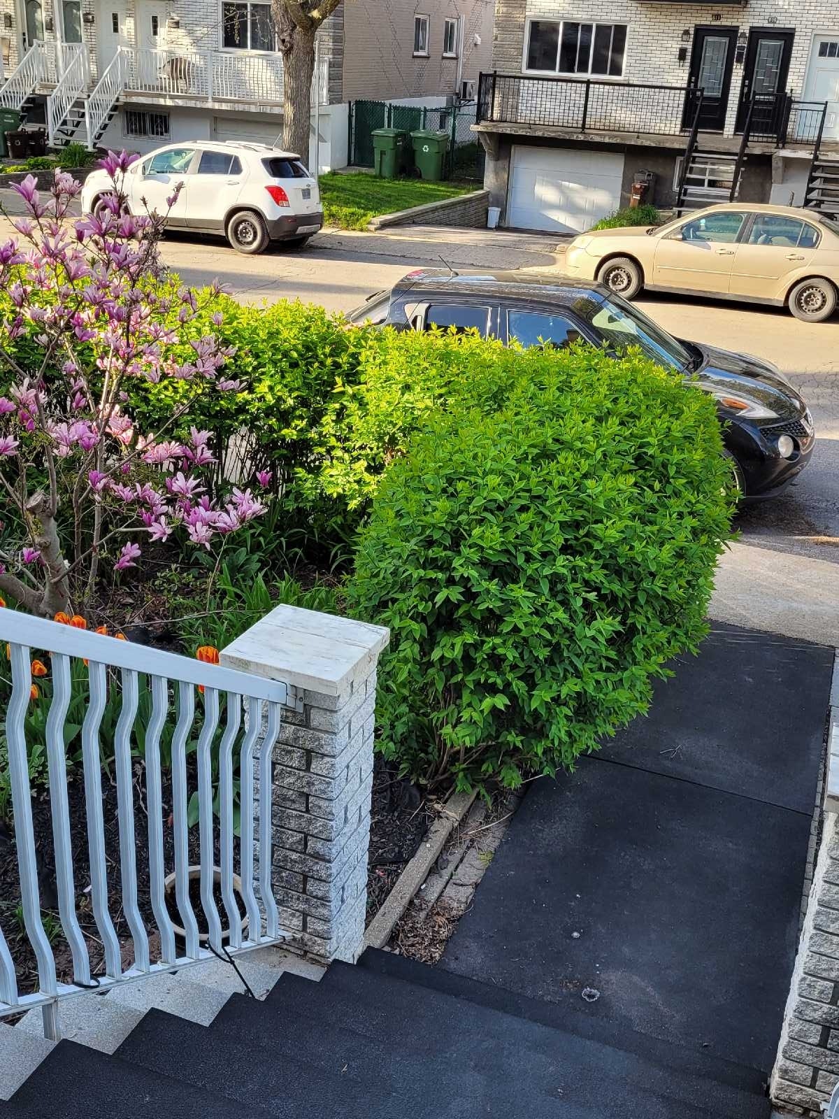 14e Avenue — photo 1