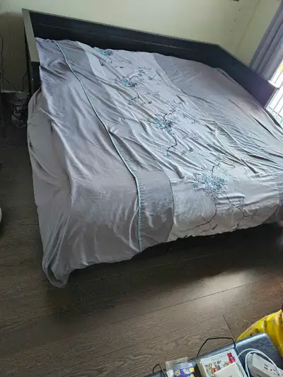 King size day bed with 2 twin mattreses, View more