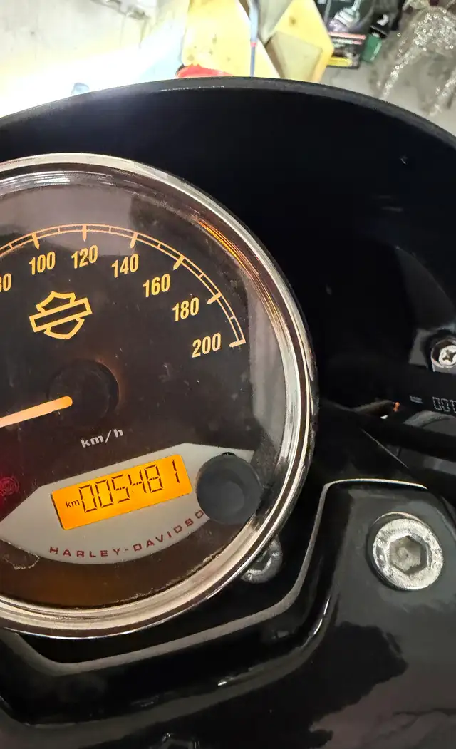 2018 Harley Davidson Strret 500 in Street, Cruisers & Choppers in Oshawa / Durham Region - Image 6