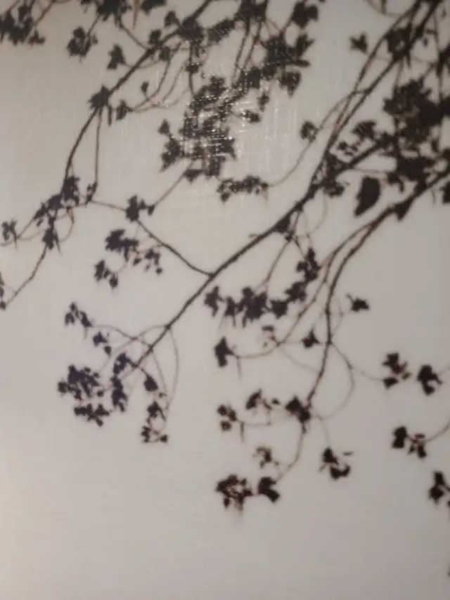 Eiffel Tower on Canvas (23.5" x 23.5") in Home Décor & Accents in Gatineau - Image 6