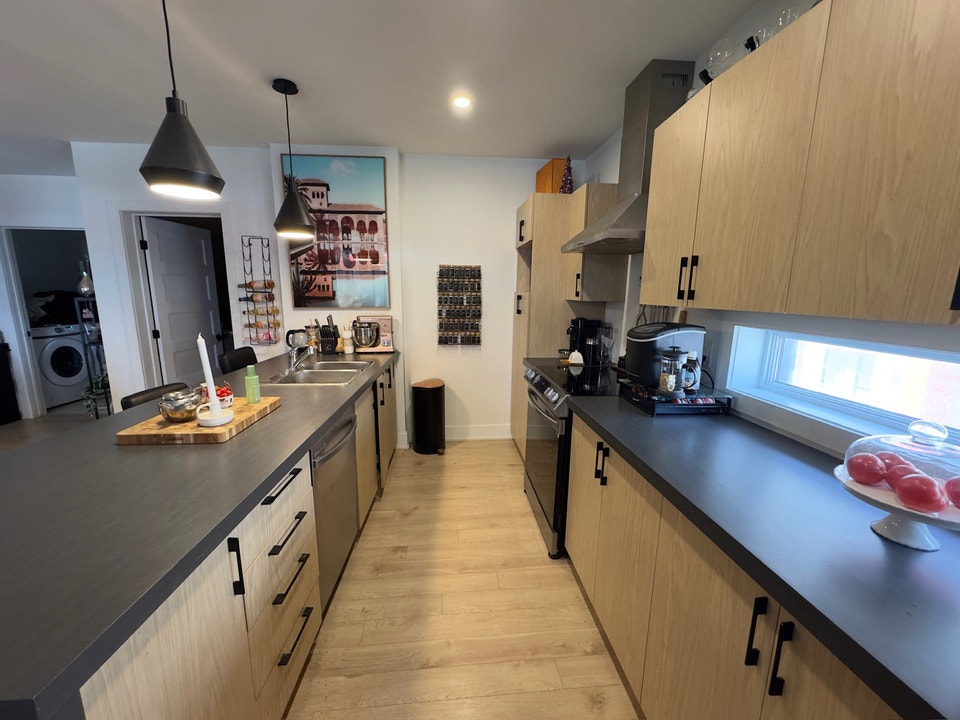 Grand 4 1/2 Chiens Acceptés, 2 Places de Garage, Internet 3