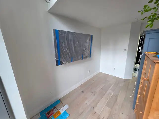 Professional painter/plaster . in Construction & Trades in City of Toronto - Image 4