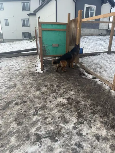 stud services, View more