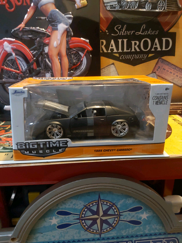 Diecast Cars &Trucks  1:24 th Scale 
Camaro  in Toys & Games in Hamilton