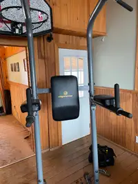 Pull up/ dip/ leg lift stand