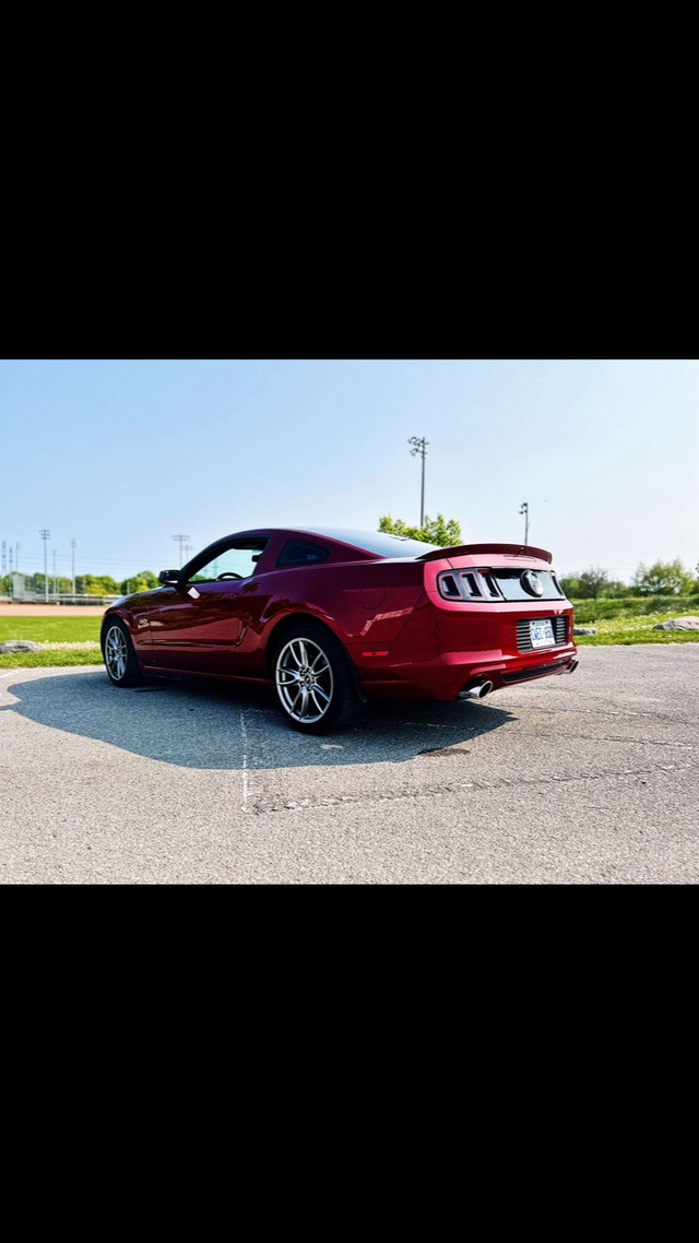 2014 Mustang GT in Cars & Trucks in Trenton - Image 4